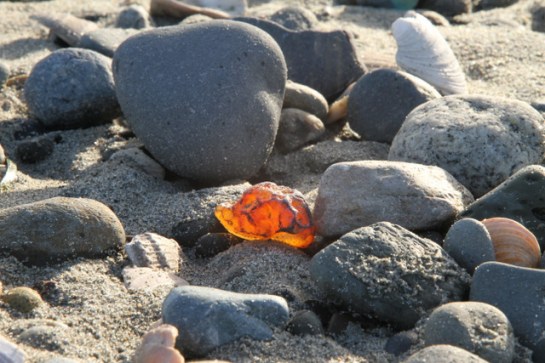 Hunt for agates on the beach.